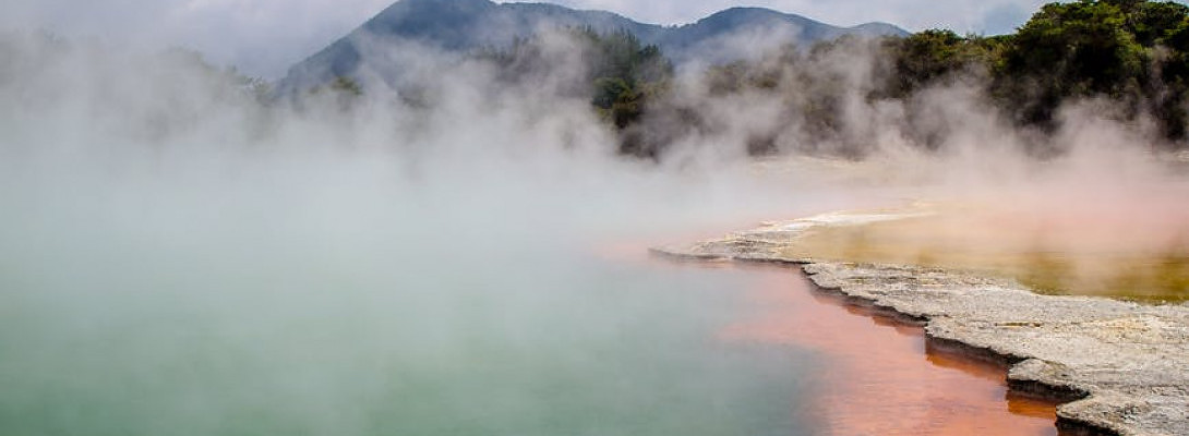 New Zealand Vacation Interrupted!