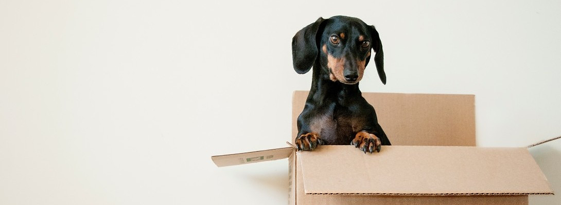 Think Outside The Box