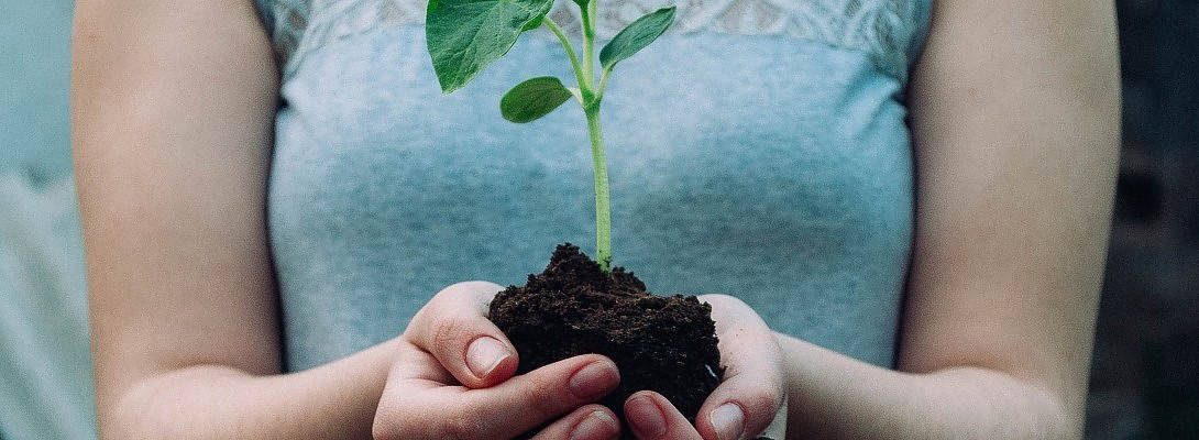 5 Tips To Start, Grow & Scale Your Business