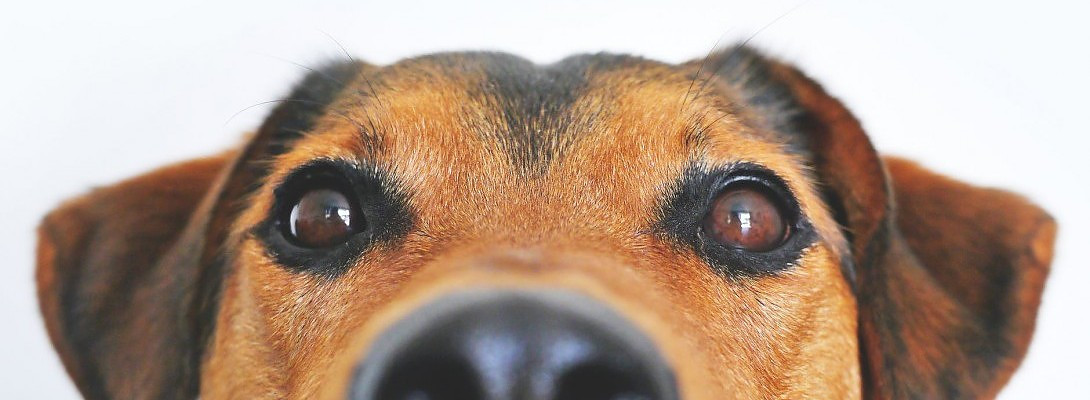 2 Month Update on my 2nd go at WA