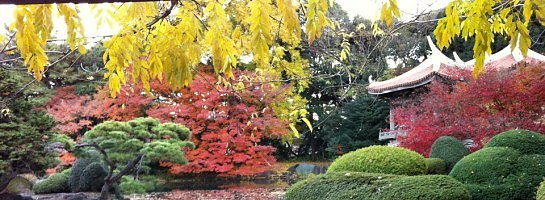 The Power of Gratitude