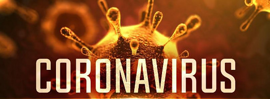 How Is Corona Virus affecting your business in your every day life?