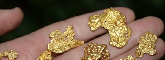 Niche Ideas For A Stay At Home World