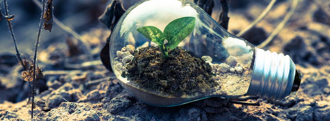 Nineteenth Month of WA - Making Things Click