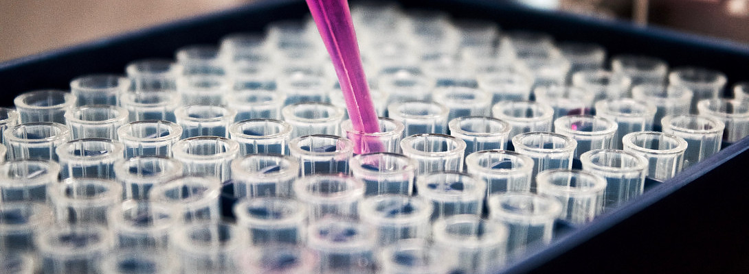 Twentieth Month of WA - COVID-19