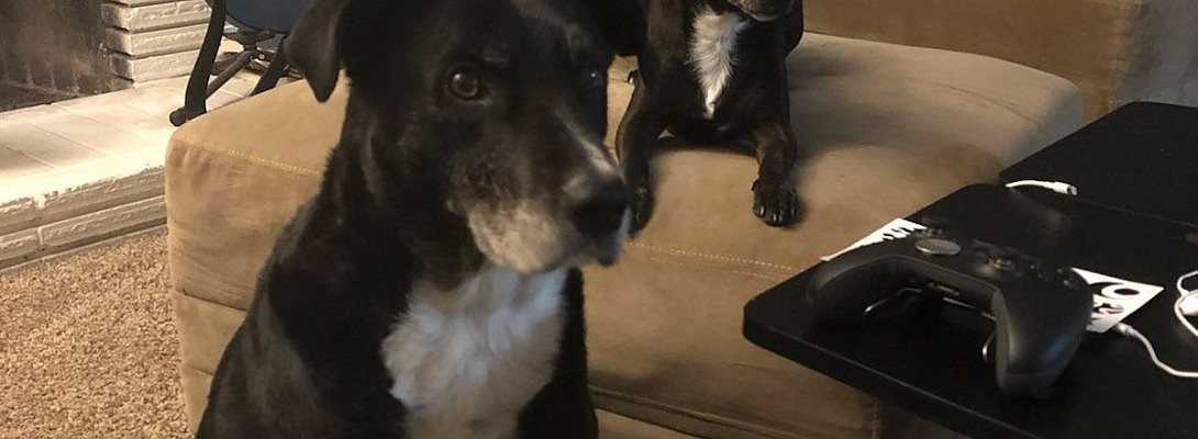 Listening to feedback.does this make sense for my blog.