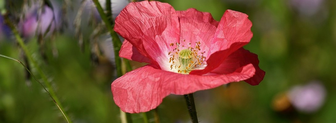 Don't Beat Yourself Up - Summer is Winding Down