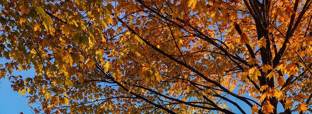 How to get to Peace within