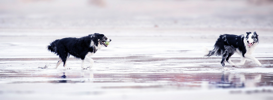 Which factors correlate with first page search engine rankings? Definitive guide?