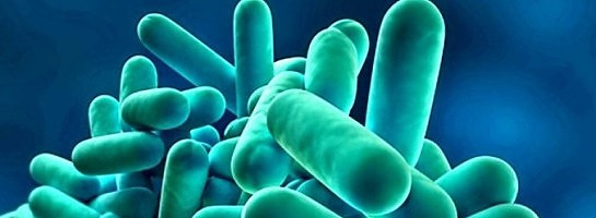 Microbes are more than what we think they are