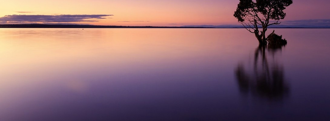 After the Purchasing Cycle