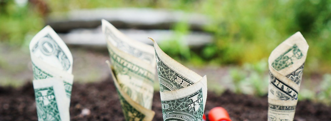 1st Blog - Progress so far