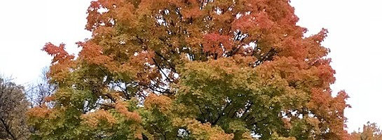 The Season of Change