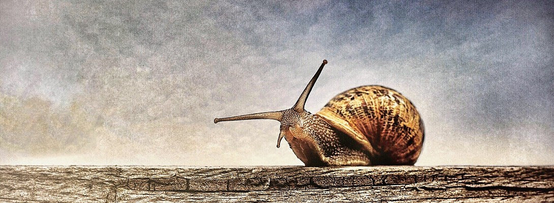 Update on my Free Falling Article+ Snails Pace