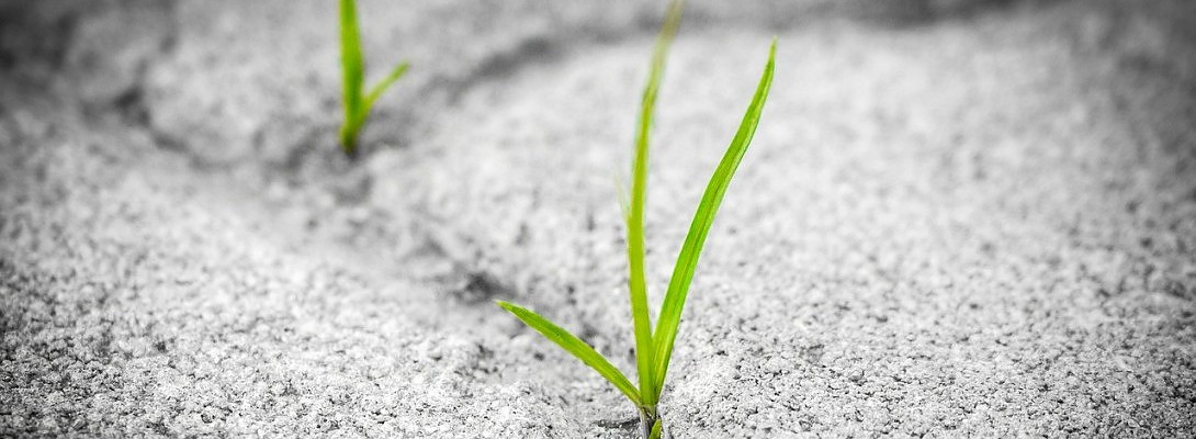 Newbie mistakes can still be valuable lessons