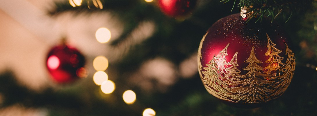 Merry Christmas! from Korea!