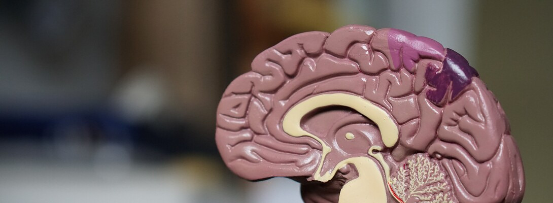 ADHD and Building Websites