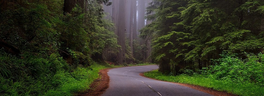 New beginnings - stepping into the unknown