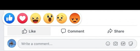 Looking For Audience Insights on Facebook?