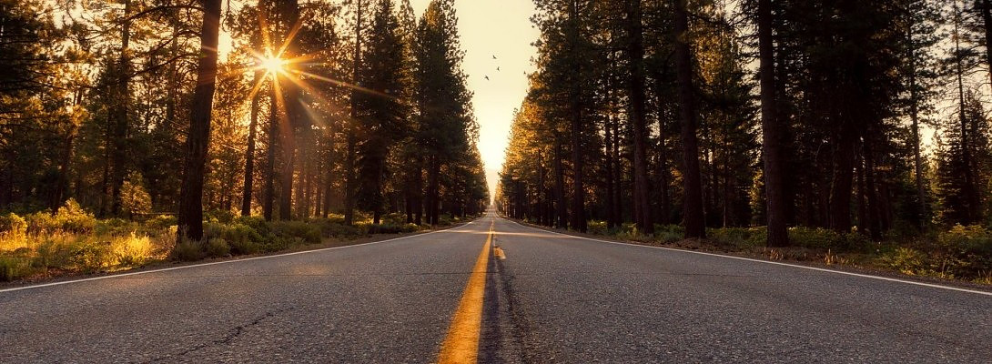 6 Month Badge Earned! My Thoughts.