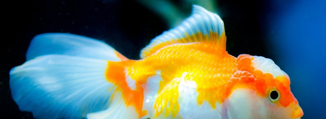 How do you stay focused? The most difficult task for me