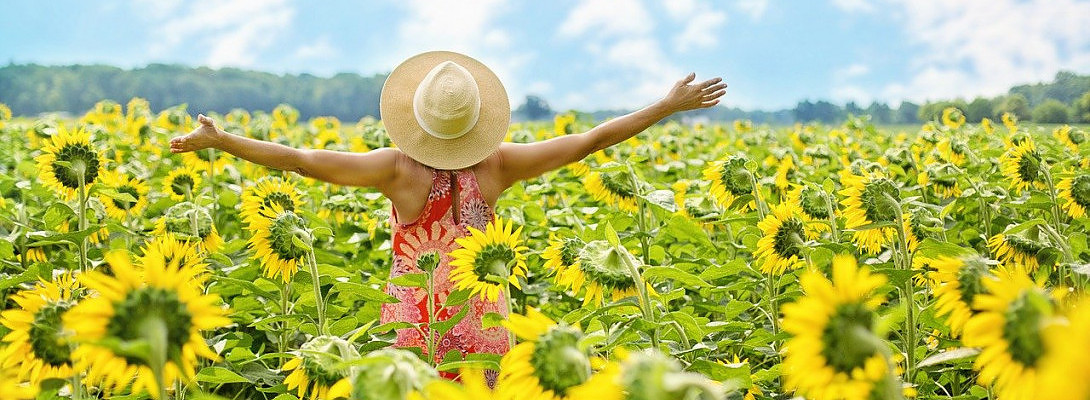 Thank YOU for Helping me Bring my Site to Life