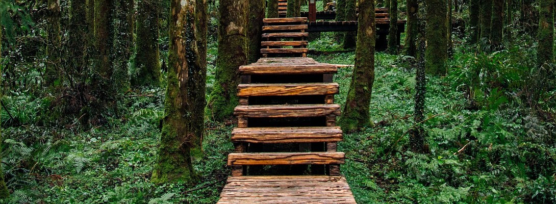 Steps in the right direction
