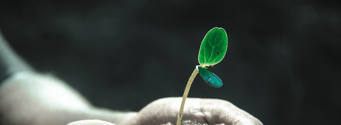 Keep the Faith, Believe in Yourself, you are more than you think.