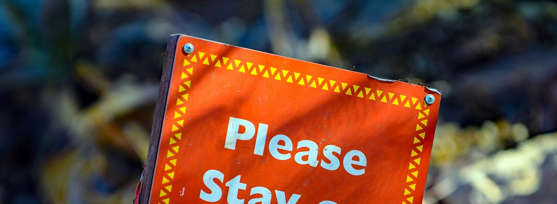 Overcoming Fear & Doubt: My Wealthy Affiliate Journey