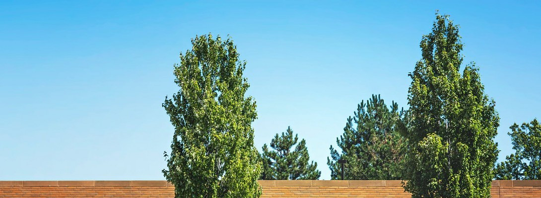 2 Projects Are Better Than 1 - Here's Why