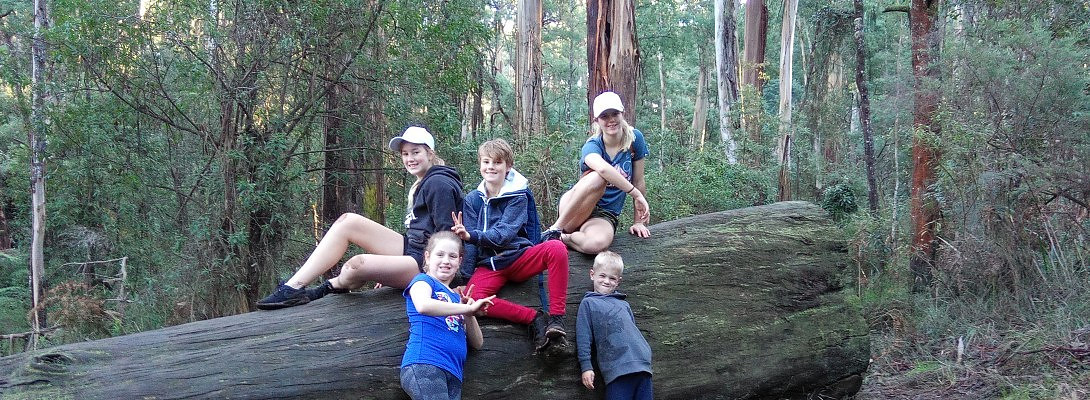 New to WA and determined to succeed!