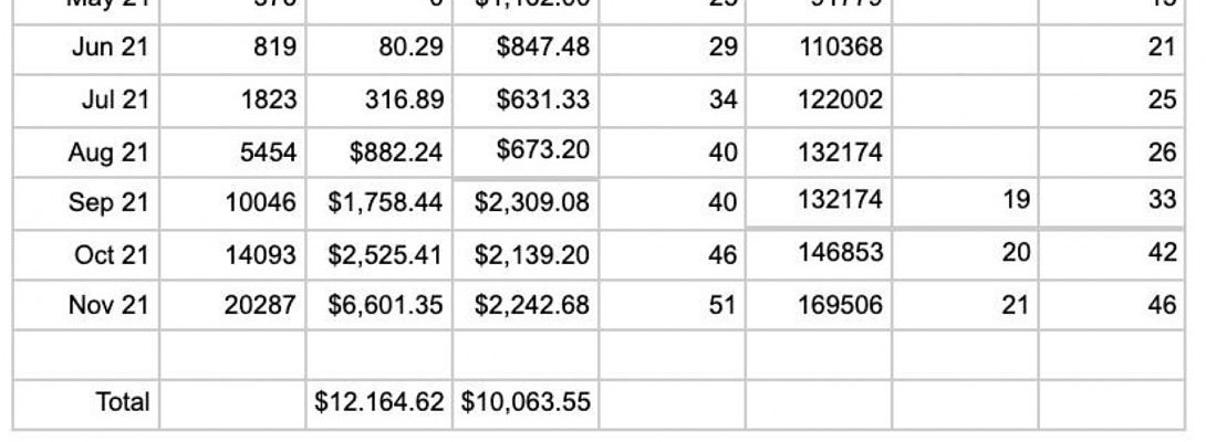 $6,600 Revenue in November 2021 - 11 Month Old Site