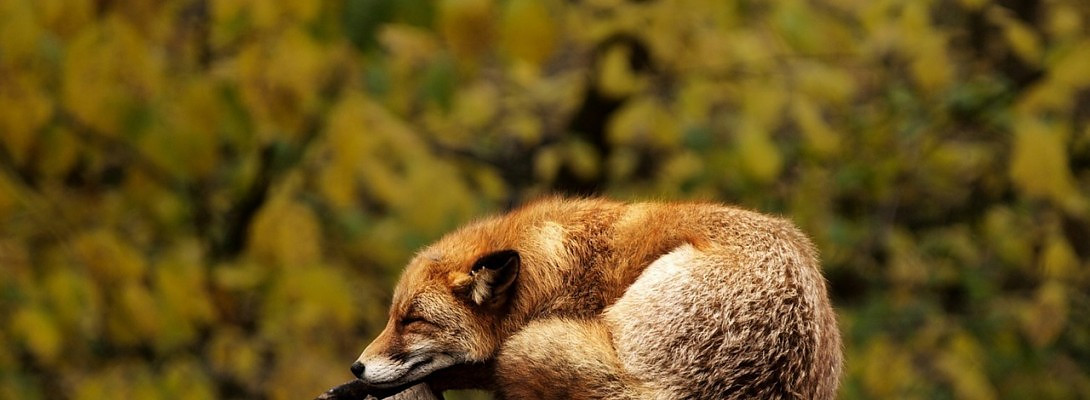 Lesson 5 of Bootcamp Phase 3: Take a Social Hiatus!