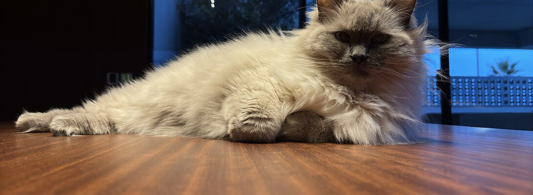 What are your plans for 2025? More of the same or something different?