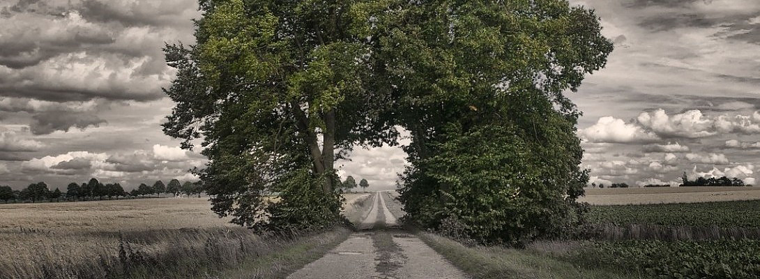 Goals for December 2018