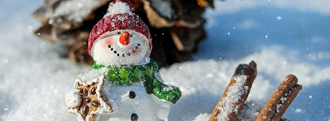 Wishing you all a Merry Christmas and a Happy New Year