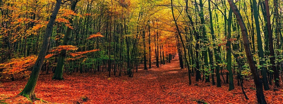 Level 2 of the OEC completed :)