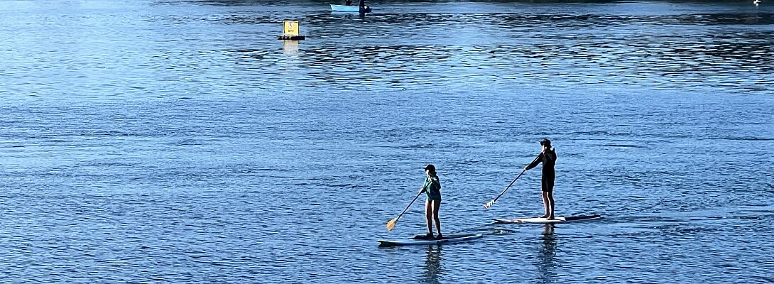 My week long adventure in San Diego for the Bayfair event.