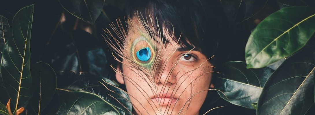 Do I not learn my lesson or just not give up?