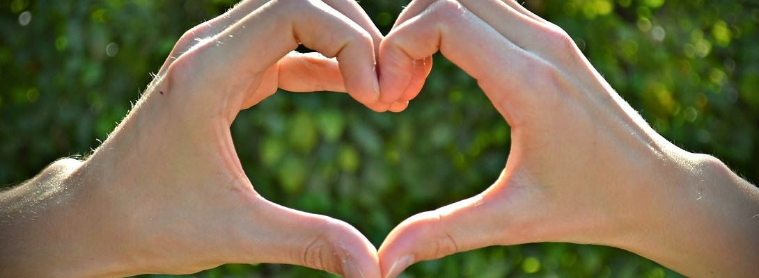 Site Comments- What an amazing feature to have!