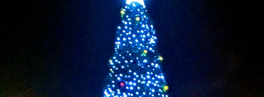 A Very Merry Christmas and Happy New 2019 Year