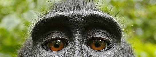 Starting with The Man in The Mirror