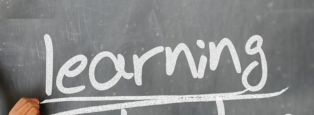 Finished Level 4 of O E C