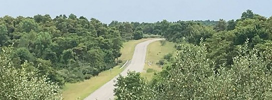 Road to Somewhere: Your Two Options