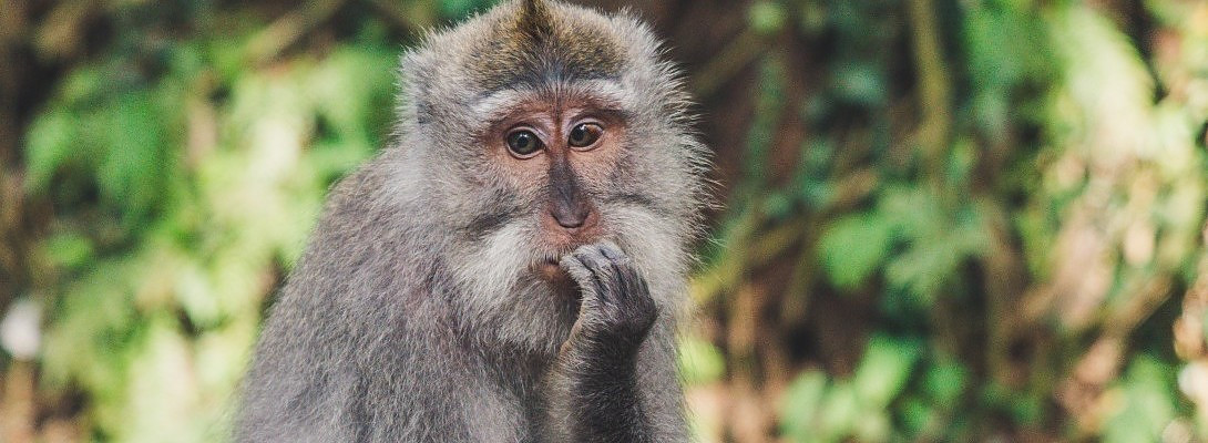 Stuck For Ideas? Revolutionary Opportunities Reveals