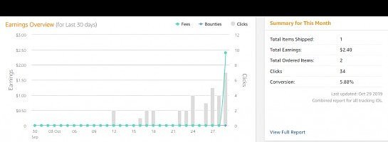 Made First Ever Sales with My Amazon Affiliate.