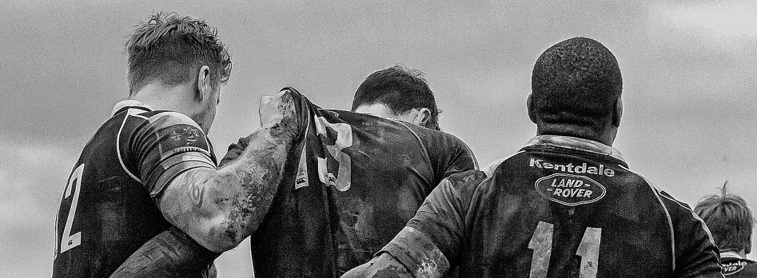 Why do I read so many rugby union books : choosing my niche