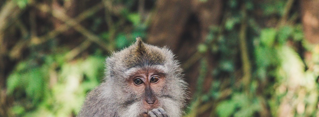 AdSense - #Headscratcher