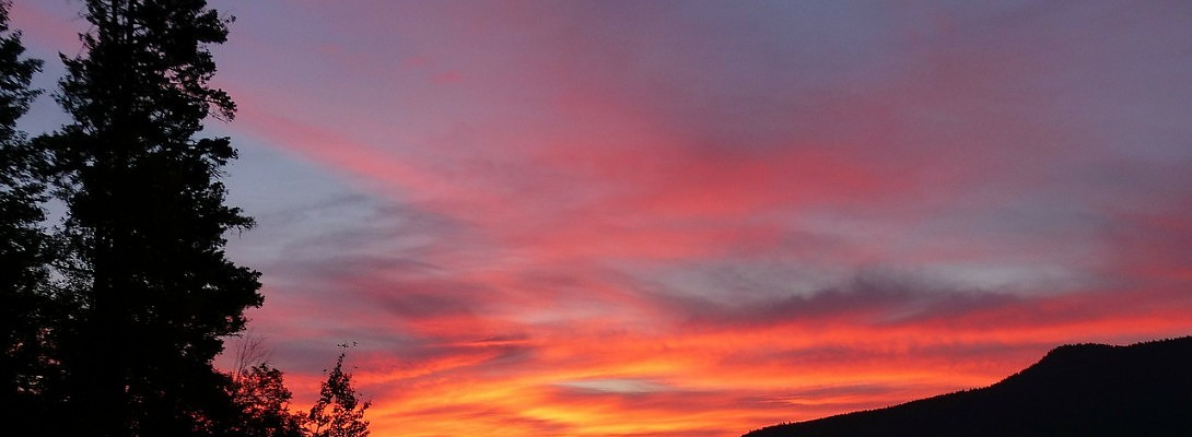 New Beginnings Take Two.