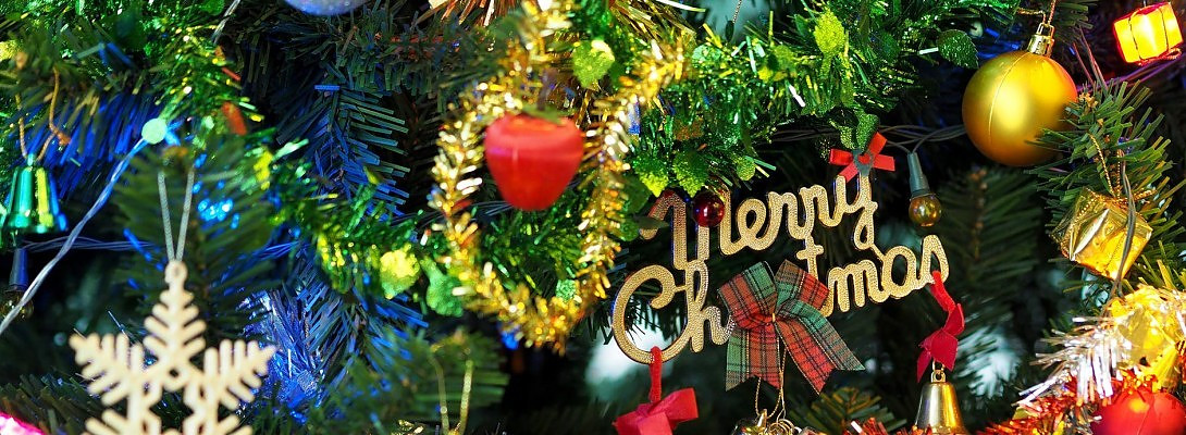 Merry Christmas to everyone